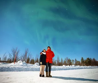 Сказка Севера: эко-отель в лесу + 3 экскурсии