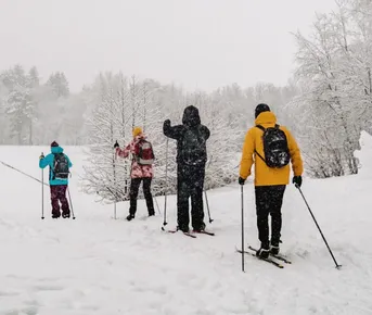 Лыжи и Спа. Однодневный выезд под Выборгом