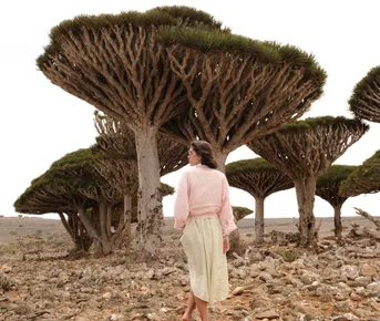 Фото-экспедиция на Сокотра