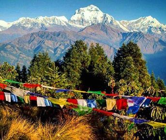 Треккинг и сафари в Непале