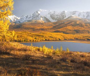 Фототур Золото Алтая