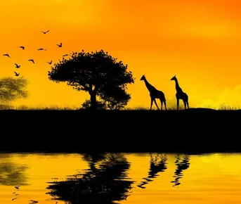 Джип-тур без палаток по 5-ти странам южной Африки.