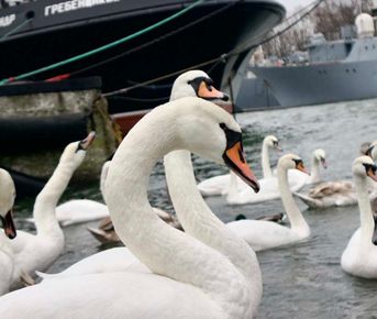 Необычный тур по Калининградской области