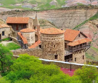 Давид Гареджи : вино, святыни и краски природы  Индивидуальный тур