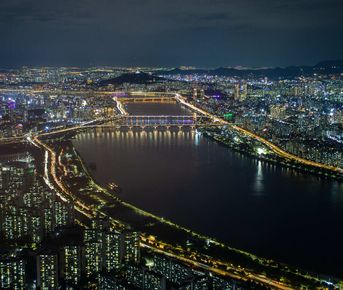 Южная Корея. Сакура в утренней свежести