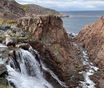 Душа океана  киты и скалы. День мечты в Териберке