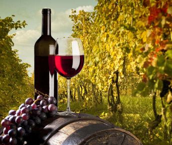 Тур Все Самое Лучшее в Армении  8 дней/ 7 ночей