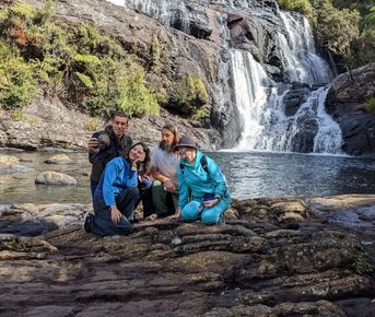 Путешествие по Шри-Ланке: Киты, сафари и шарм Цейлона (индивидуально)