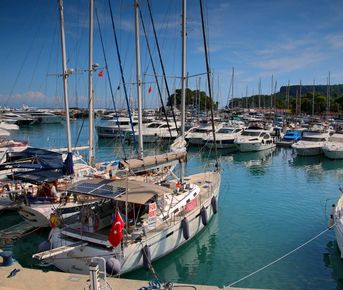 Морская Рыбалка в Алании