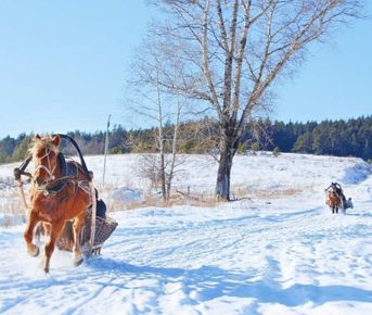 Конные сани: русская экзотика. Тур на 3 дня
