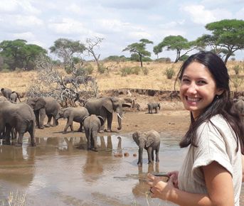 5-дневный сезон отёла миграционного сафари в Серенгети