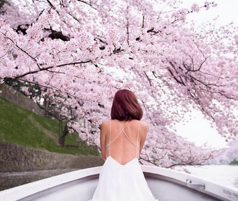 Цветение сакуры в Японии + оформление визы в подарок