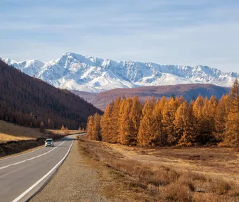 Золотой октябрь 2026 на Алтае