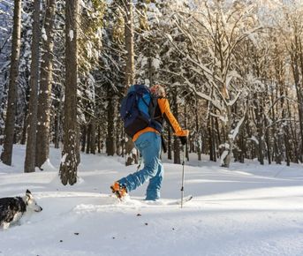 Сестрорецкое болото на лыжах. Однодневный выезд из Петербурга
