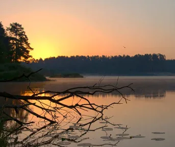 Отдых у озера + sup