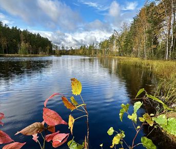Пеший поход в Озерный край