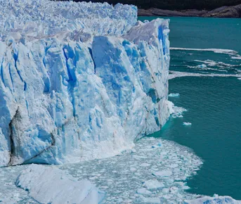 Патагония: Ледники, Огненная Земля, пингвины! Включены внутр.перелеты!