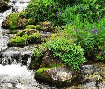  Вся Камчатка за 12 дней (всё включено)