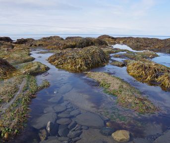 Кругосветка по Кольскому полуострову