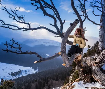 Новогодние каникулы в Адыгее