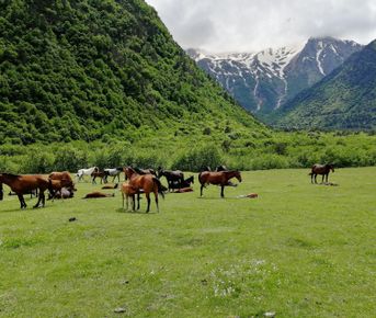 Загадки кавказских ущелий (Осетия - Ингушетия) - 6 дн/5н