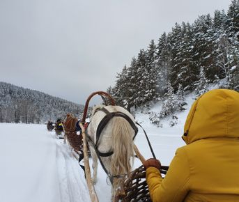 Через три заповедника Урала.