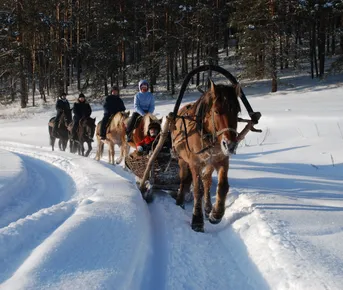 Конные сани: русская экзотика. Тур на 4 дня