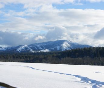 Выходные в горах.