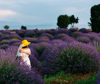 От Мечетей до Лавандовых Полей: Турецкое Приключение!