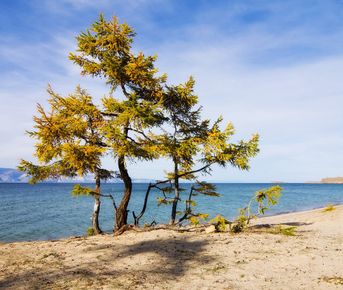 Классический тур на Байкал.