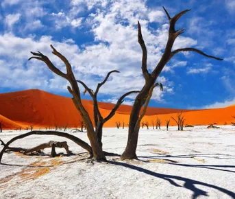 Вперед в прошлое!