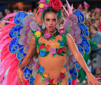 Бразилия experience + Карнавал В Рио