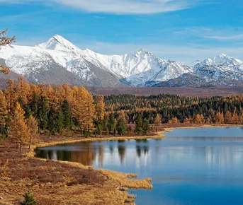 Золото Алтая, путешествие в царство осенних красок
