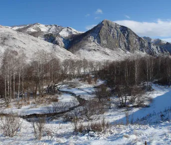 Все краски Алтая, 7 дней