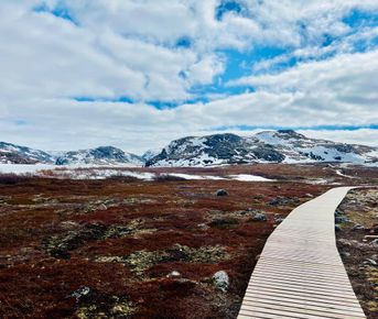 В Поисках Китов: Мурманск - г. Кола - Териберка - Абрам мыс - Долина славы