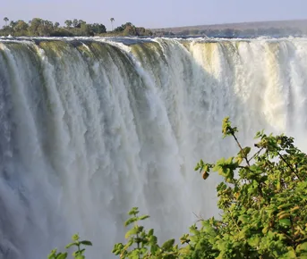 Намибия + Ботсвана + Зимбабве + Замбия