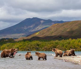 Тур на Камчатку!