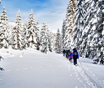 Зимний поход на перевал Дятлова на снегоступах