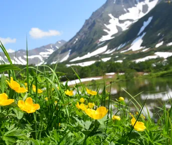 Чарующая Камчатка