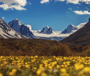 Путешествие Золотые горы Алтая