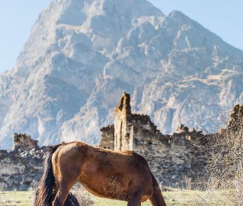 Великолепие гор, кавказская кухня и тёплая компания гарантированы. Лайт.