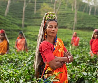 Тур по Раджастхану и Керале