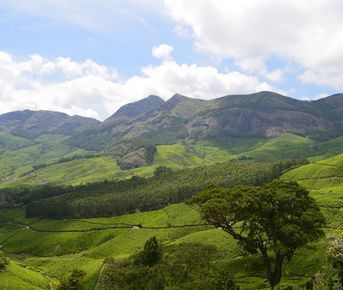 Тур по собственной стране Бога