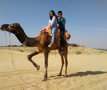 Ярмарка верблюдов и тур по Раджастхану			