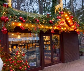 Новый год в сказочном Светлогорске на берегу Балтийского моря