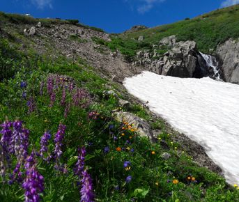 Алтай без границ