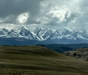 От Алтая до Монголии и обратно