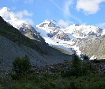 Восхождение на Белуху с юга