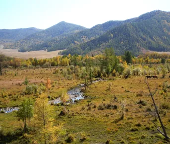 Все краски Алтая, 5 дней