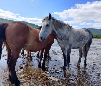 Активный сплав по реке Зилим с порогом Кысык!